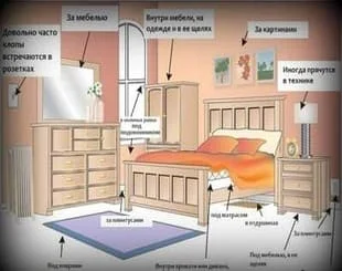 Дезинсекция 1-комнатной квартиры холодным туманом